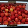 とても美味しいさくらんぼを食べた月曜日