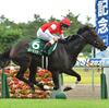 競馬初心者必見☆馬券予想🔥〜関屋記念〜本格化の兆しのあるあの馬を本命に！