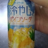 冷やしパイン🍍ソーダ