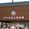 【写真】旭川市旭山動物園（北海道）