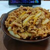 【明日は焼き肉からのキング】毎日キング牛丼76日目