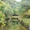 八丈島大池（東京都八丈島）