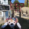 #上野動物園#アルン