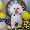 ～RED NOSE DAY 2023～