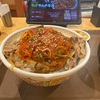 ネギキムチ牛丼