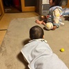 兄が食べているものが欲しくなるのは兄弟あるあるです。