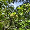 滝宮天満宮へお札を納めてきた