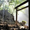 銚子市中央町の出雲神社の床下から白骨遺体