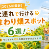 【2026年最新】犬連れで行けるひまわり畑スポット6選！ワンちゃんOKの夏おでかけガイド