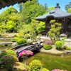 【京都】嵐山、『清凉寺(嵯峨釈迦堂)』に行ってきました。　紫式部　光る君へ 