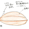 温湯消毒と風の強い一日