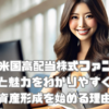 SBI米国高配当株式ファンドの特徴と魅力をわかりやすく解説 資産形成を始める理由