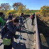 渡良瀬遊水地へ探鳥してきました！