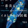 頭足類の共通点と特徴