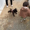 年度末と年度初めは会合の数が激増します。