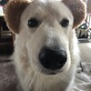 半袖？は、まだ早いな