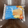 アイス 塩バタークッキーキャラメルサンド