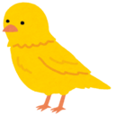 カナリヤ響子ブログ