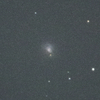 SN2023vyl in NGC7625 ペガスス座