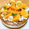 23th Birthdayのマンゴーチーズケーキ