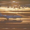 羽田空港
