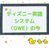 購入４年半の中古DWEの使用状況