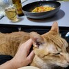 足の人差し指が、親指より長い話