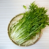 【あさイチ】キッチンバサミで「水菜のナムル」のレシピ！ツイQ楽ワザ【7月1日】