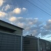 実籾