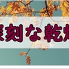 手の乾燥に悩んでいるズボラな私はこれからの時期に完敗しそう…。