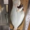 北海道の釣り対象魚制覇へ向けて