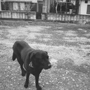 フィルムカメラのある日常