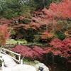 2016　11/25の拝観報告5（金戒光明寺）