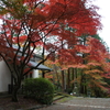 湖東・湖北の紅葉めぐり旅／3日目／湖東三山