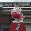 【ひとり旅】飛騨高山④：飛騨花里の湯 高山桜庵（ドーミーイン ホテルズグループ）