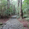 2021年8月 世界遺産 熊野古道と熊野三山の旅