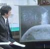 私は自然になりたい　　画家・犬塚勉