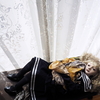 Psyche: Lie down by the sunny window