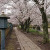 中舘観音寺の山門