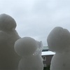 雪が好きみたいです