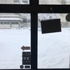 まだまだ雪