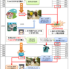 住宅を買った貧乏アメリカ人にとってのサブプライム問題を図解してみる