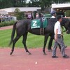 今年３回目の札幌競馬観戦