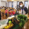 今日の幼稚園