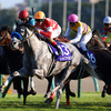 レッドファルクス鞍上C.デムーロ騎手「瞬発力もあり強い馬という印象」/マイルCS共同会見