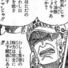 「ONE PIECE」考察　「"火"を焼き尽くす"マグマ"」に対する解釈からサボに望む事