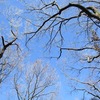 狭山湖畔をせっせと歩く