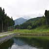 通称「ため池の下の畑」の草刈り