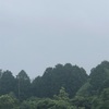 今朝の景色