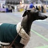 ホントは痛かったんだけど・・東京インター無事に終了しました。